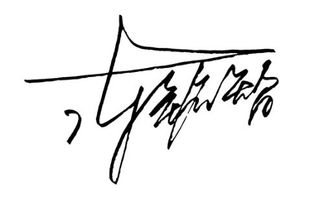 谁能帮我做一个艺术签名