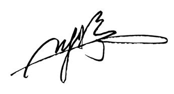 设计艺术签名一笔签 急需