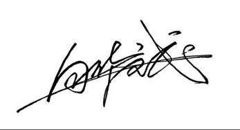 谁能给我设计个签名