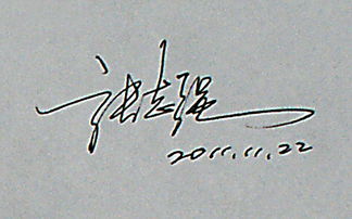 张志强连笔签名设计