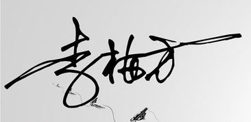 李梅方签名设计教程
